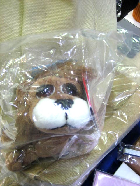 プジョーブランド☆新作入荷!!(━(-( (｡・｀∀´・｡) )-)━)!!