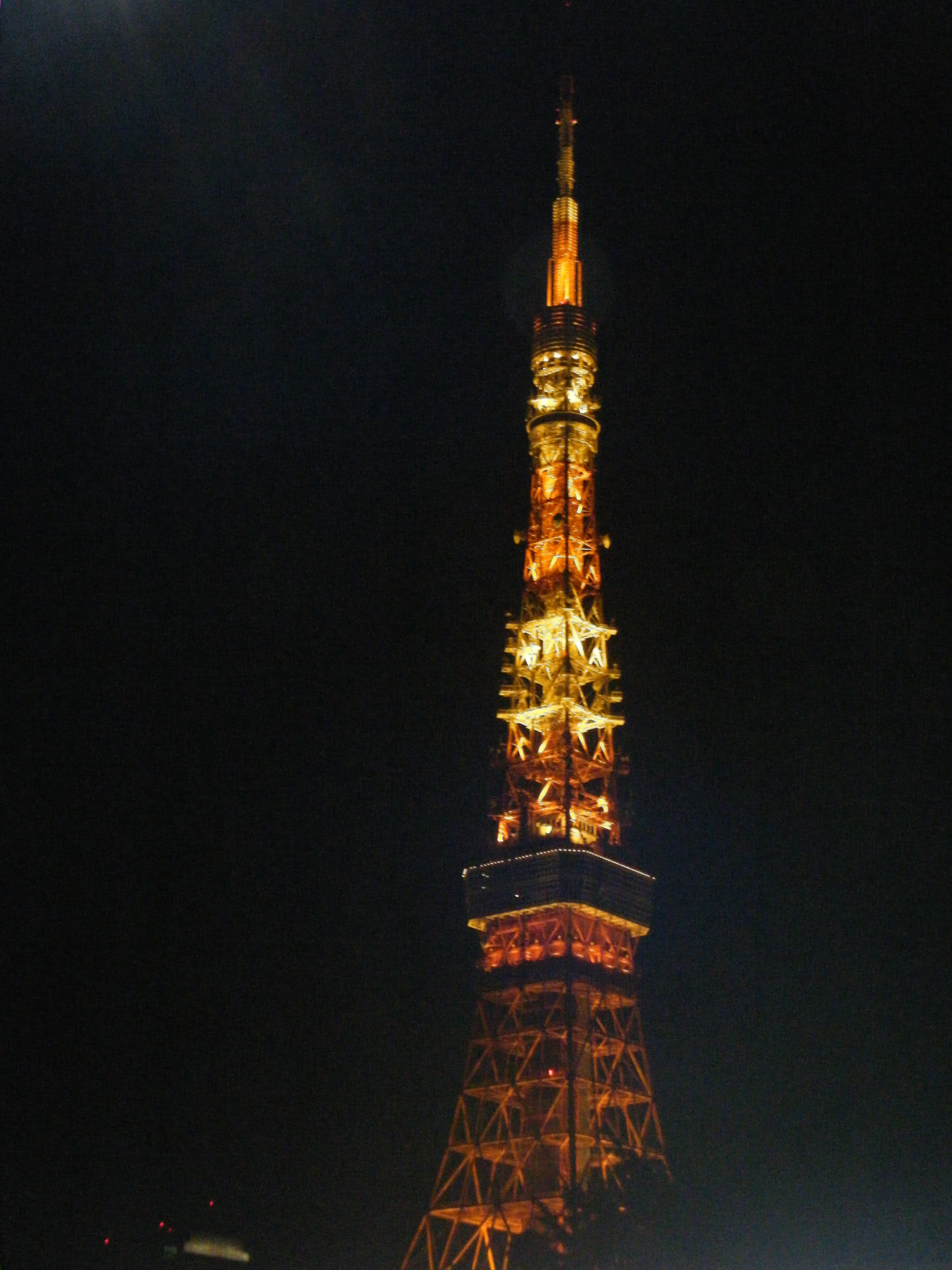 夜景を楽しみながらスヤスヤ(。-_-。)zzzZZZ