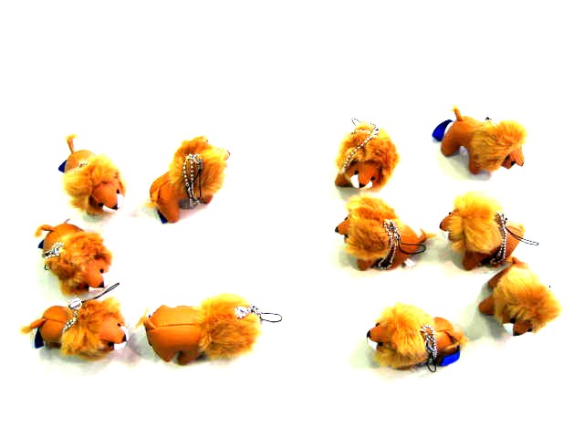 祝★２０１０年開幕！！