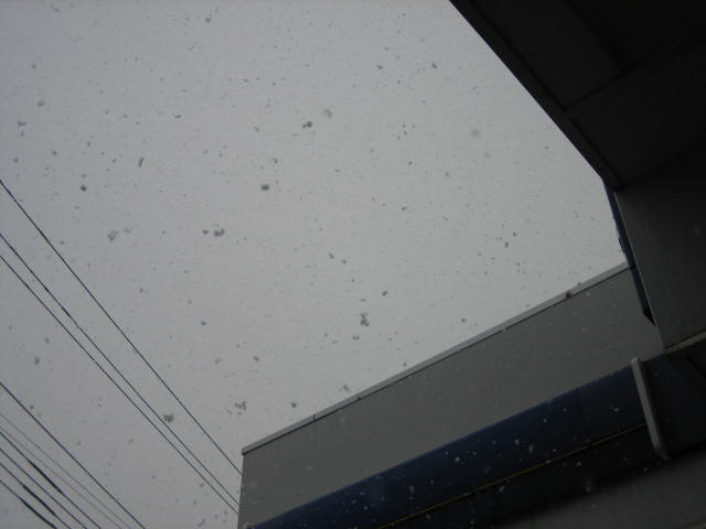 八王子実況中継