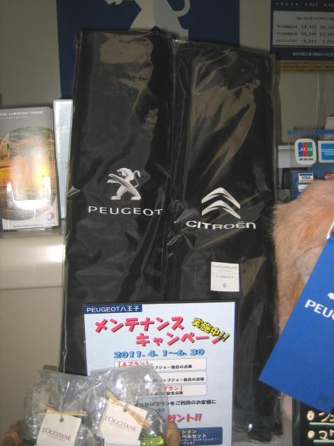 メンテナンスキャンペーン実施中!!!