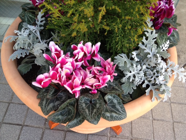 今月のお花