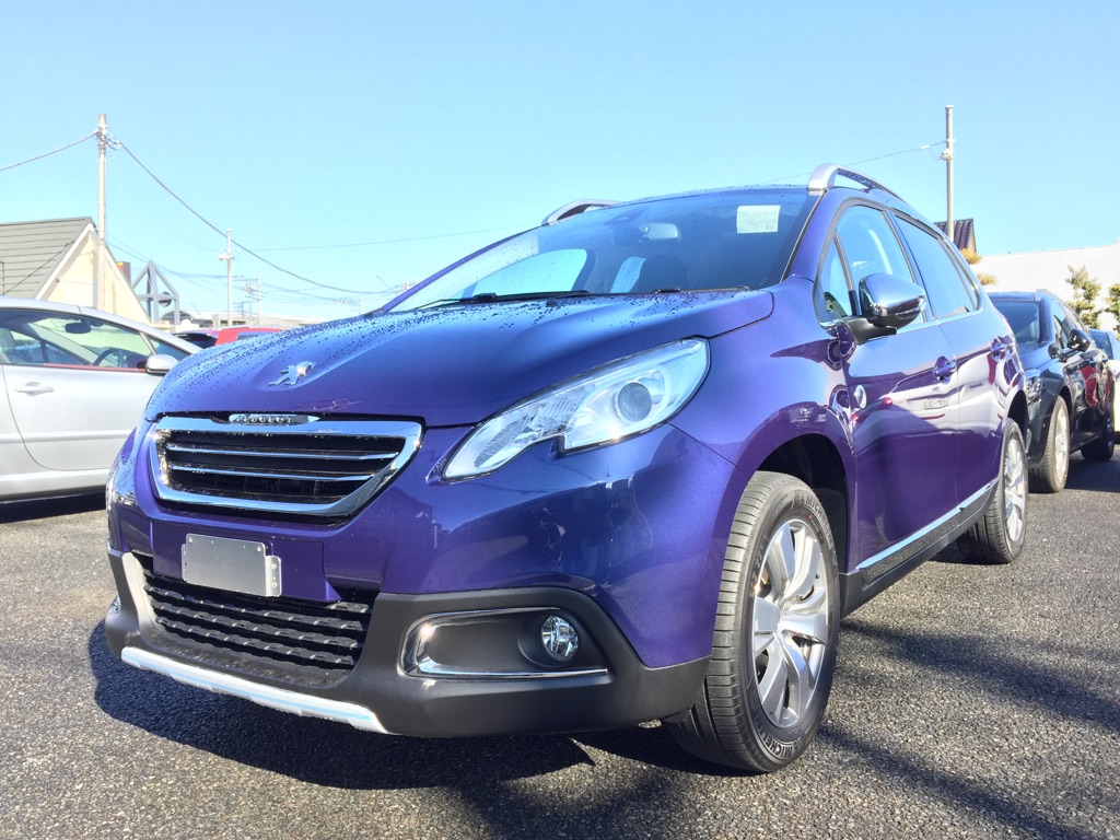 限定車　2008 CROSSCITY　Debut!!