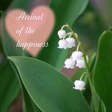 今週は水曜がお休みです。