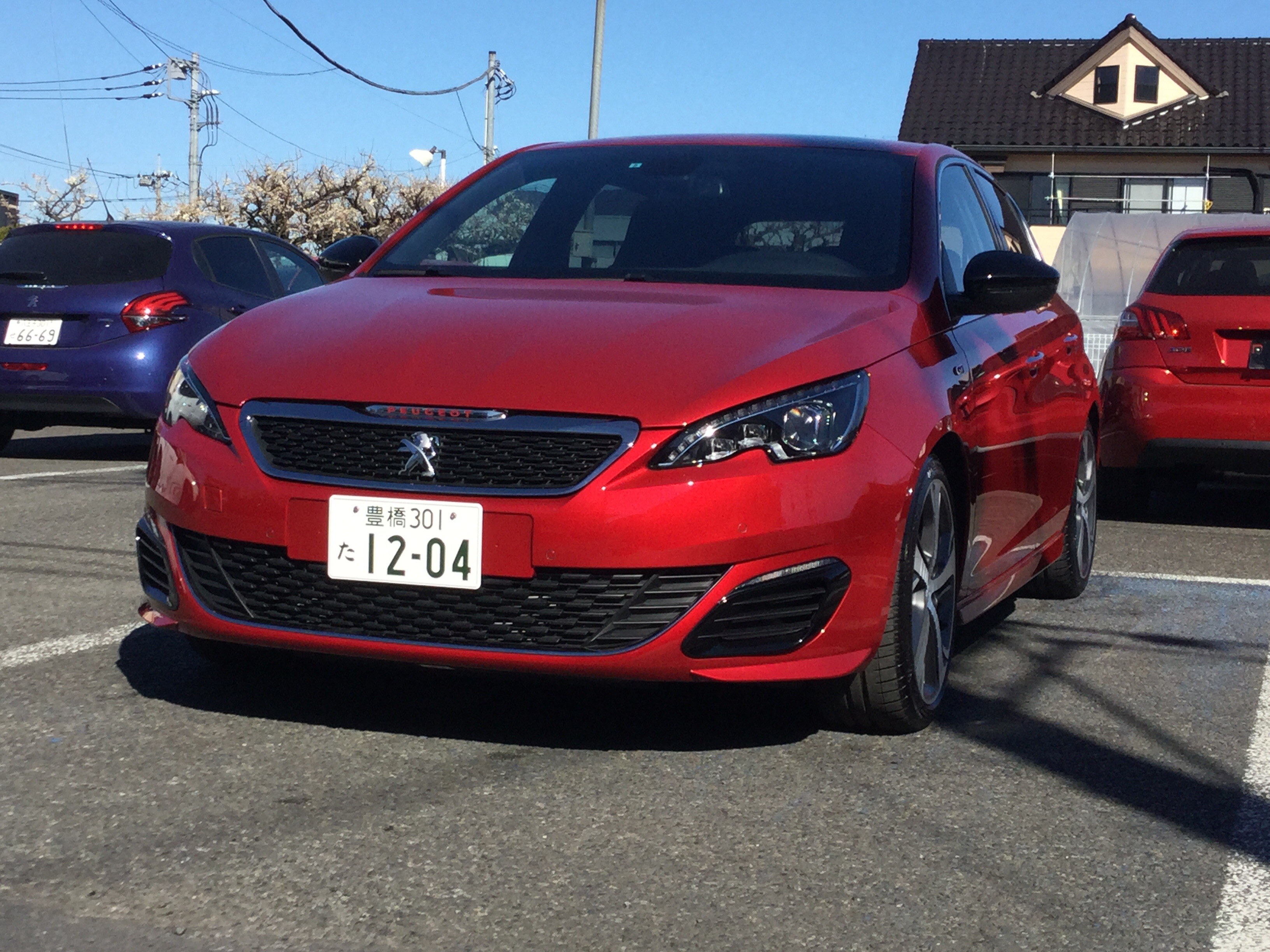 308GTi250のお知らせです。