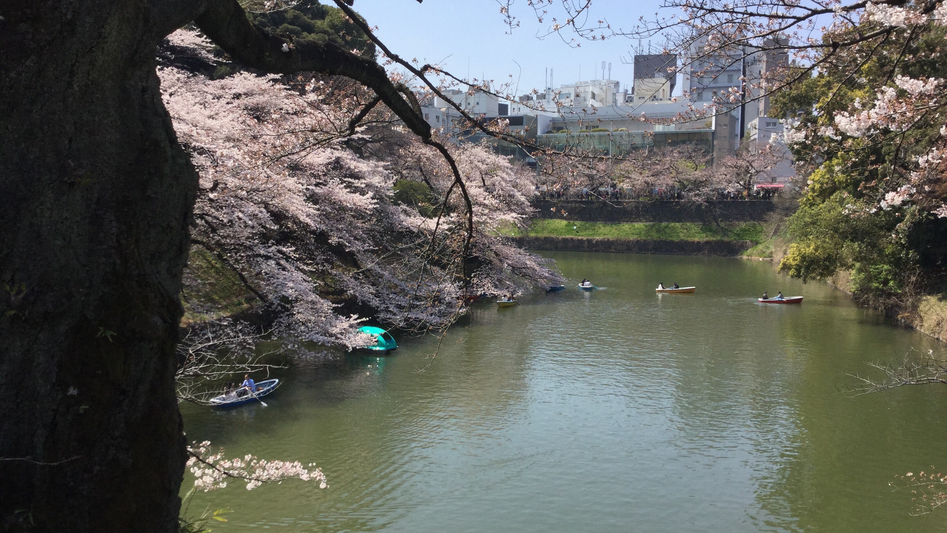 きれいな景色です