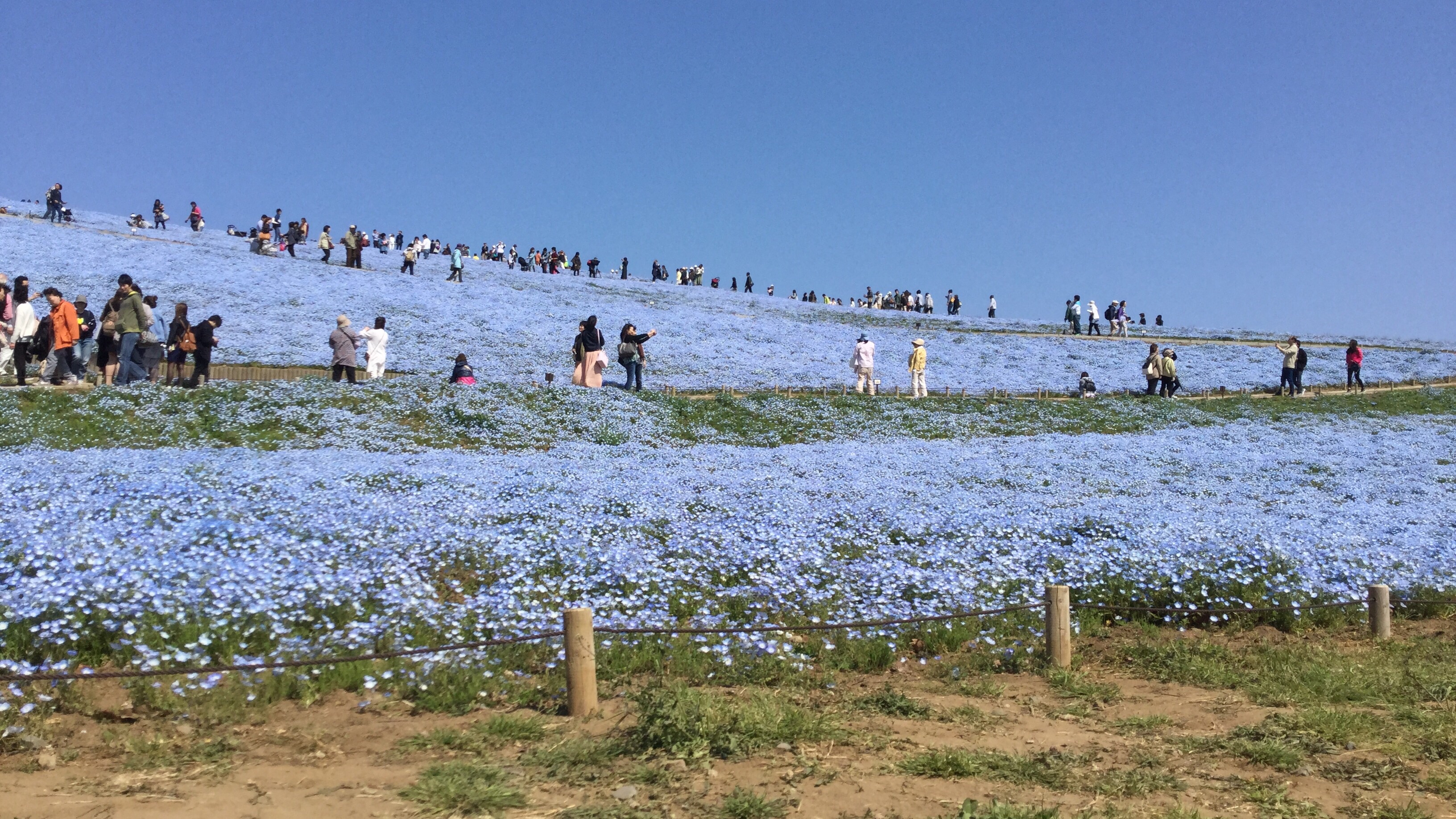 きれいな景色です。