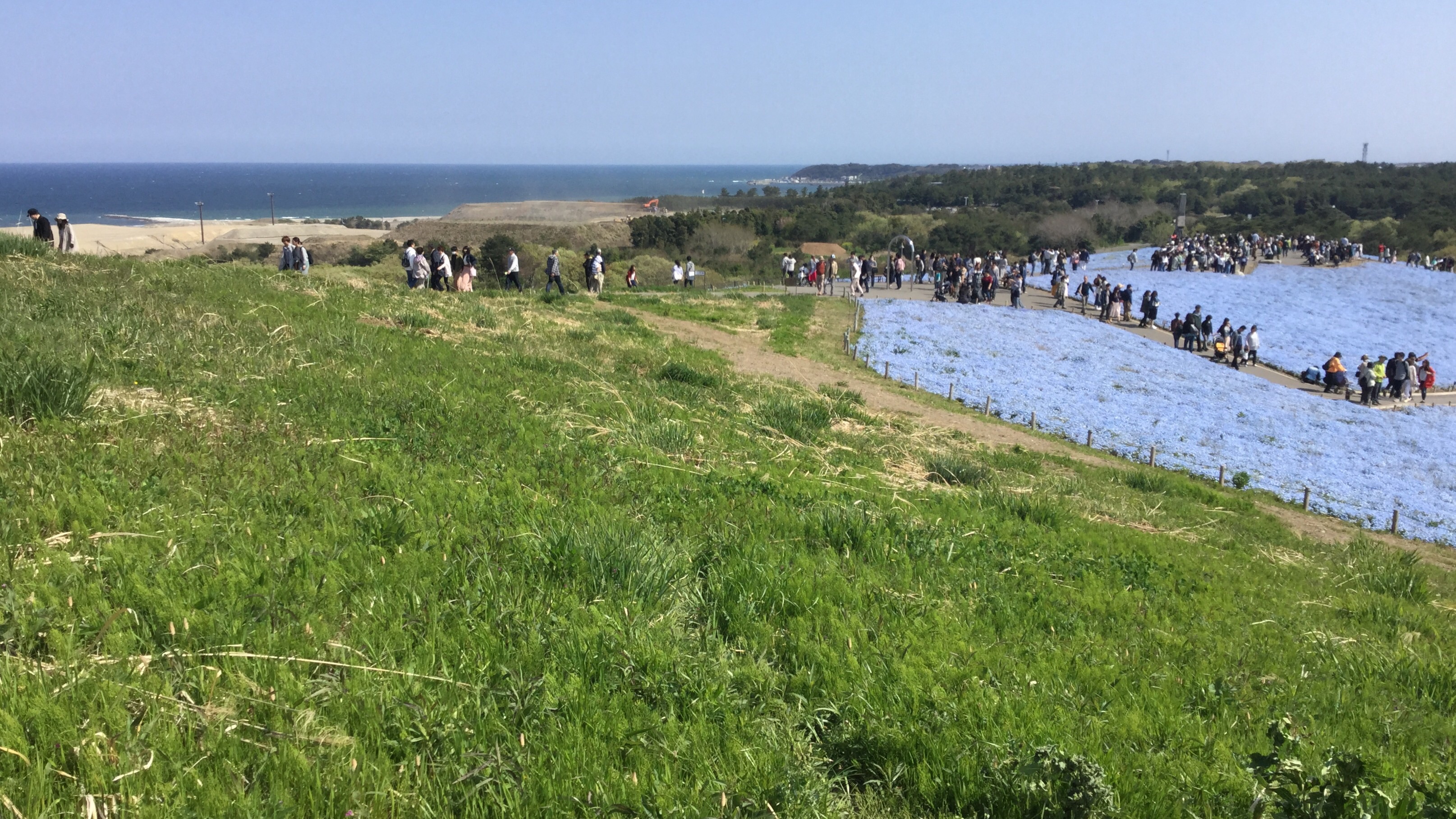 きれいな景色です。