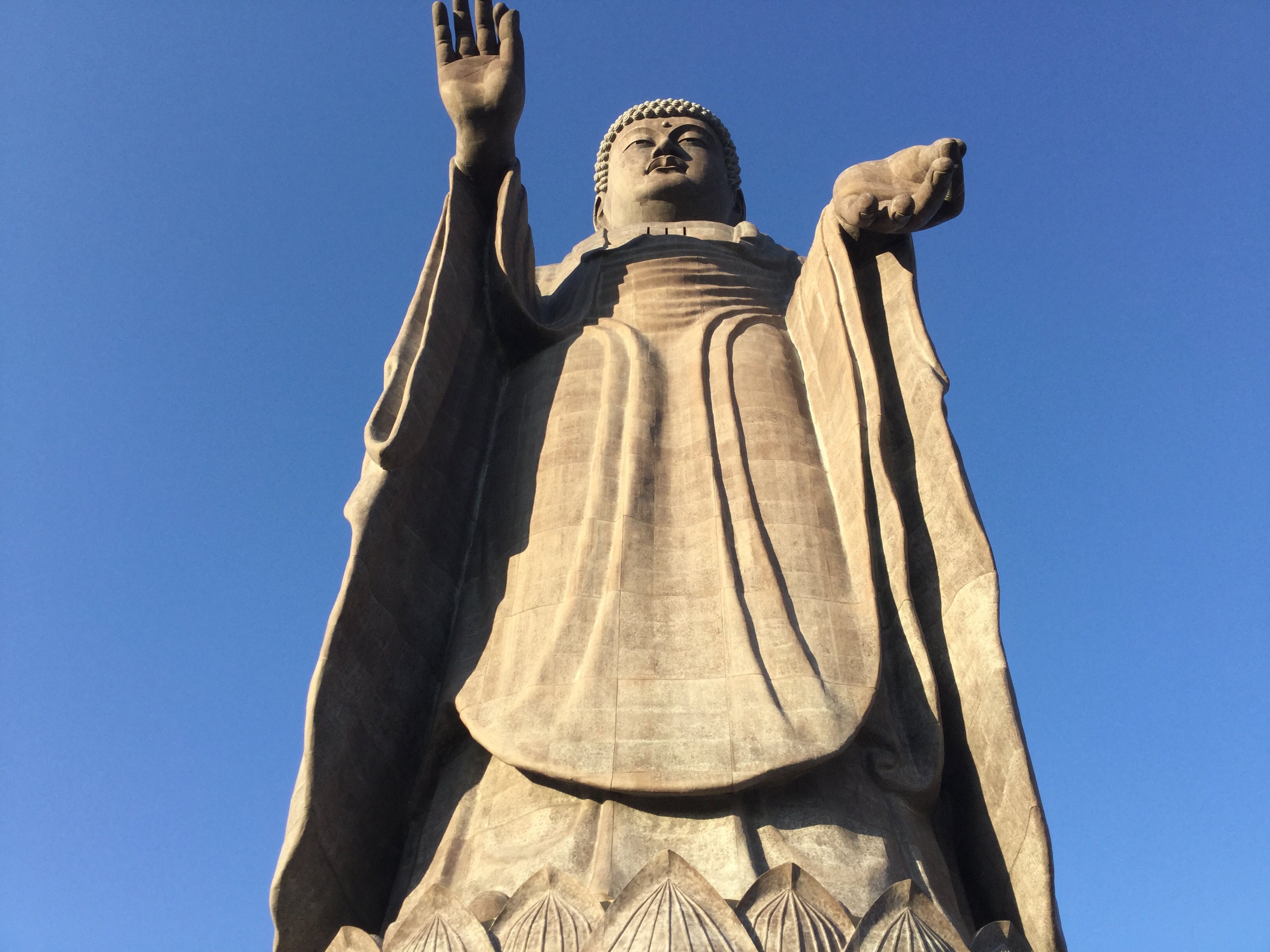 大きいです