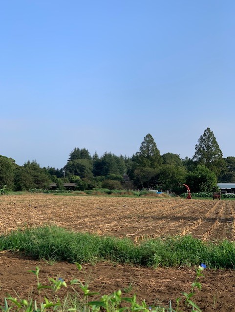 少しづつ秋の風景に変わってきました。