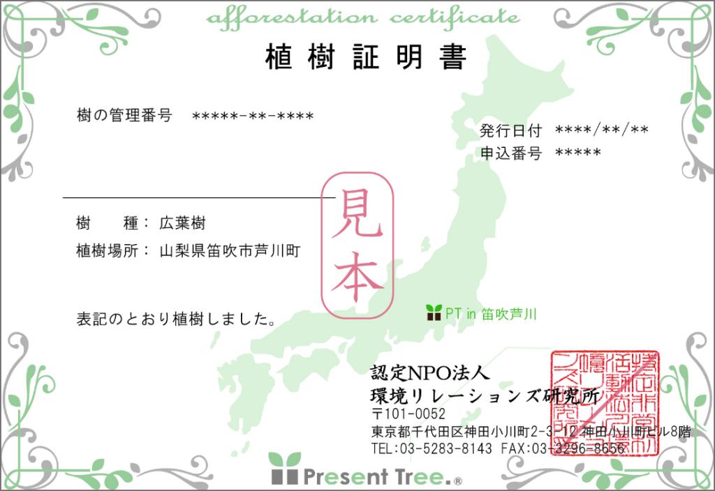 Stellantisジャパン 『森を育てるプロジェクト』を始めました