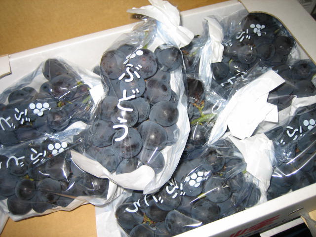 山梨の巨峰を頂きました。