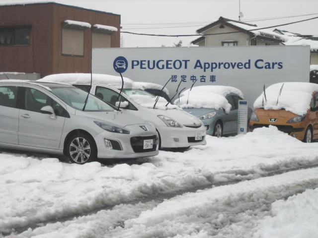 雪雪雪!!雪でございます。