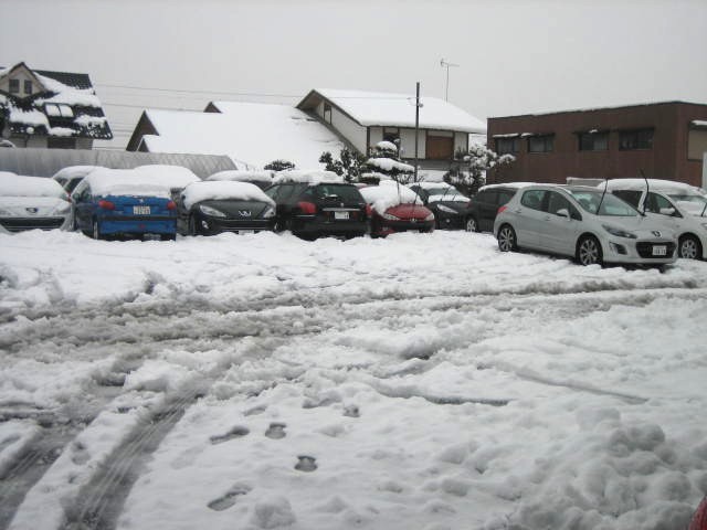 雪雪雪!!雪でございます。
