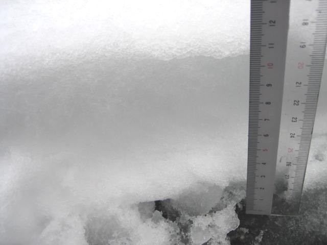 雪雪雪!!雪でございます。