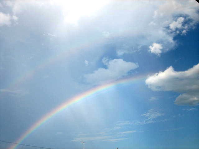 雨上がりの虹空