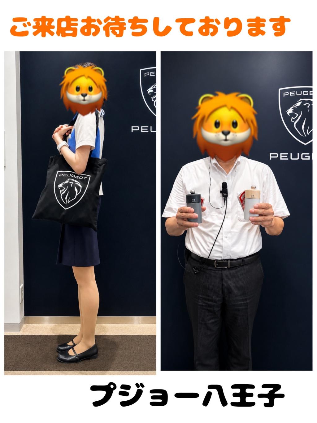 プジョーグッズ✨